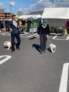 ショー６