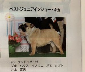 兜雑誌