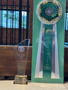 刀２