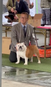 扇子１