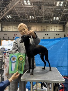 ディシュ２
