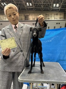 ピッピ