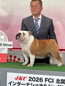 インターチャンピオン２