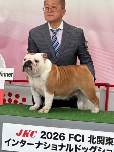 インターチャンピオン３